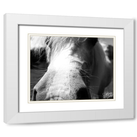 Mini Horse VIII White Modern Wood Framed Art Print with Double Matting by Dicks, Stephanie