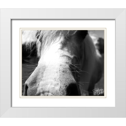 Mini Horse VIII White Modern Wood Framed Art Print with Double Matting by Dicks, Stephanie