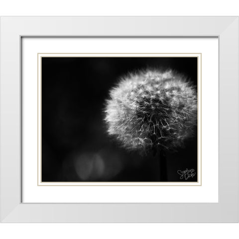 Dandelion White Modern Wood Framed Art Print with Double Matting by Dicks, Stephanie
