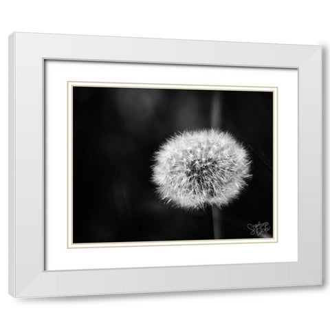 Dandelion II White Modern Wood Framed Art Print with Double Matting by Dicks, Stephanie