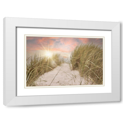 Beach Grass and Sun White Modern Wood Framed Art Print with Double Matting by Moss, Tara