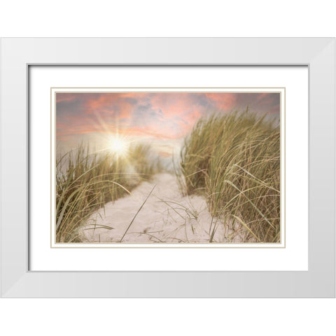 Beach Grass and Sun White Modern Wood Framed Art Print with Double Matting by Moss, Tara