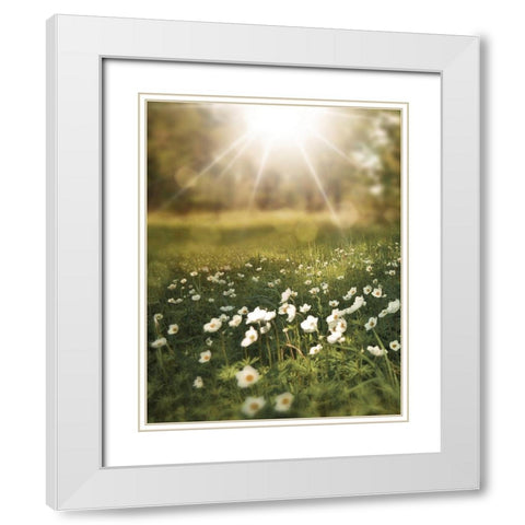 Field and Sun White Modern Wood Framed Art Print with Double Matting by Moss, Tara