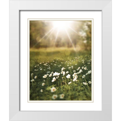 Field and Sun White Modern Wood Framed Art Print with Double Matting by Moss, Tara