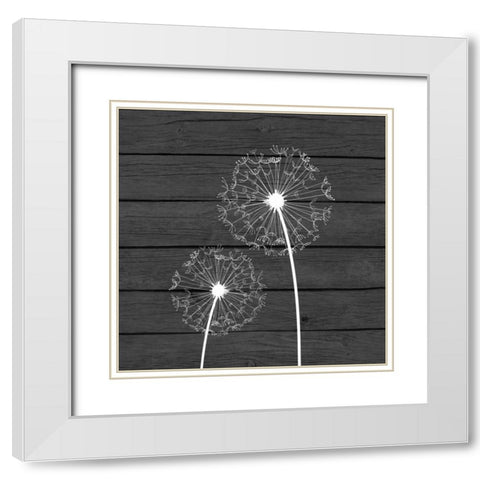 Grey Dandelion III White Modern Wood Framed Art Print with Double Matting by Robinson, Tamara