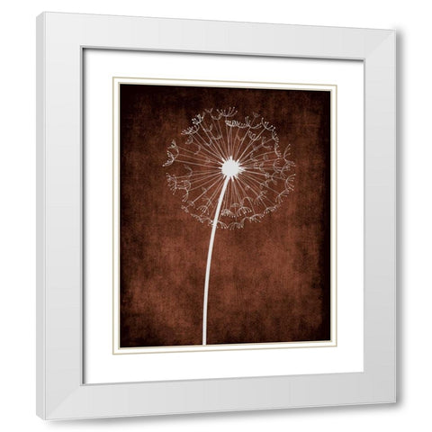 Dandelion on Brown III White Modern Wood Framed Art Print with Double Matting by Robinson, Tamara