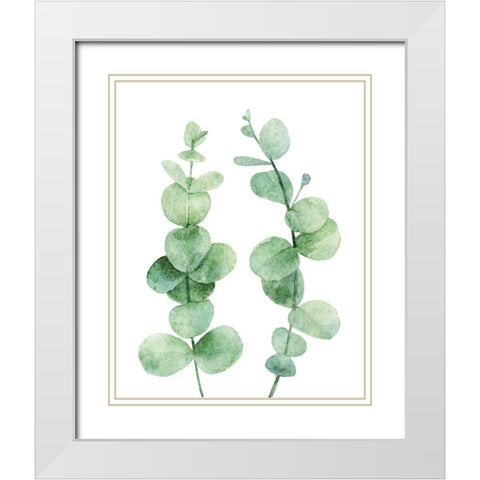 Eucalyptus White Modern Wood Framed Art Print with Double Matting by Robinson, Tamara