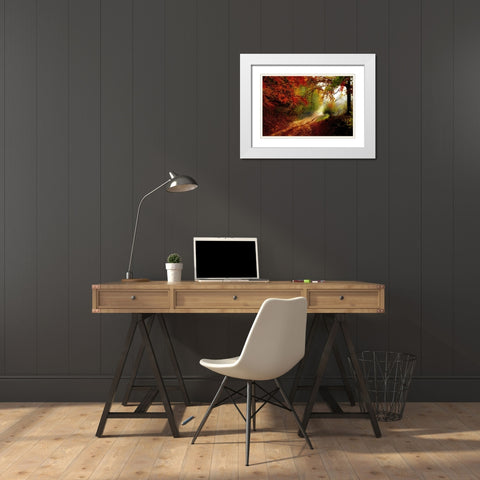 Autumn Forest Edge White Modern Wood Framed Art Print with Double Matting by Dundon, Denise
