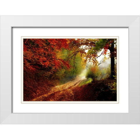 Autumn Forest Edge White Modern Wood Framed Art Print with Double Matting by Dundon, Denise