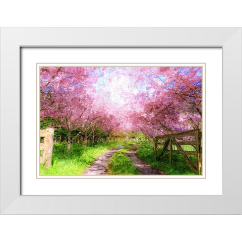 Cherry Blossom Lane White Modern Wood Framed Art Print with Double Matting by Dundon, Denise