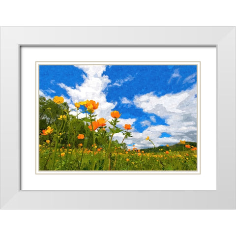 California Poppies White Modern Wood Framed Art Print with Double Matting by Dundon, Denise