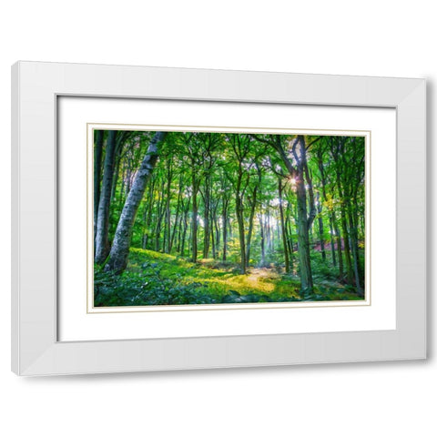 Emerald Forest White Modern Wood Framed Art Print with Double Matting by Dundon, Denise