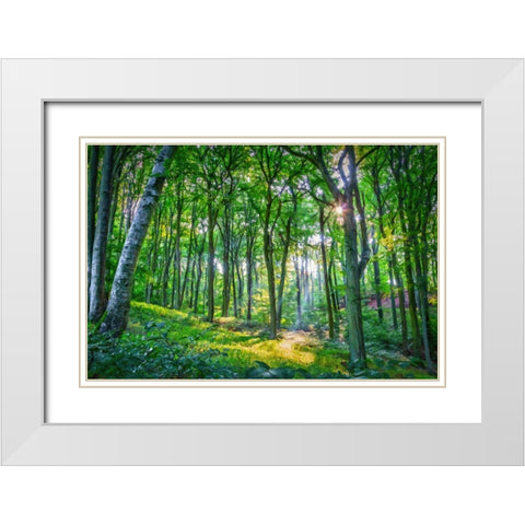 Emerald Forest White Modern Wood Framed Art Print with Double Matting by Dundon, Denise