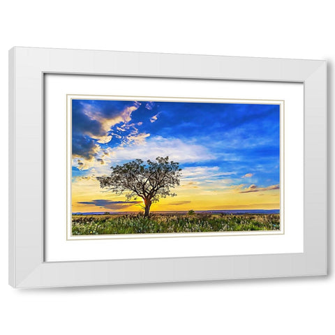 Solitary Sunset White Modern Wood Framed Art Print with Double Matting by Dundon, Denise