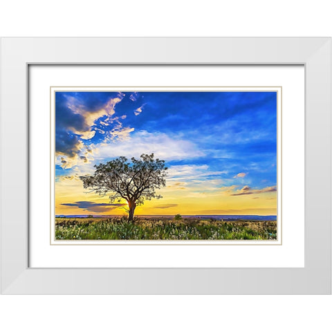 Solitary Sunset White Modern Wood Framed Art Print with Double Matting by Dundon, Denise