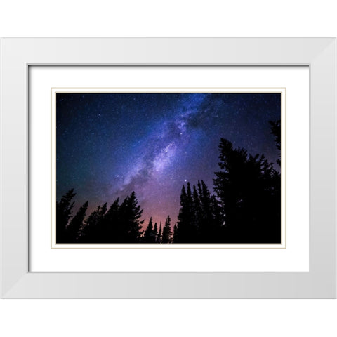 Conifers and Milky Way White Modern Wood Framed Art Print with Double Matting by Dundon, Denise