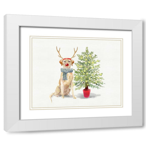 Labs White Modern Wood Framed Art Print with Double Matting by Wieners, Valerie