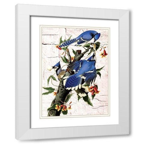 Blue Jays White Modern Wood Framed Art Print with Double Matting by Burney, Yvonne Coleman