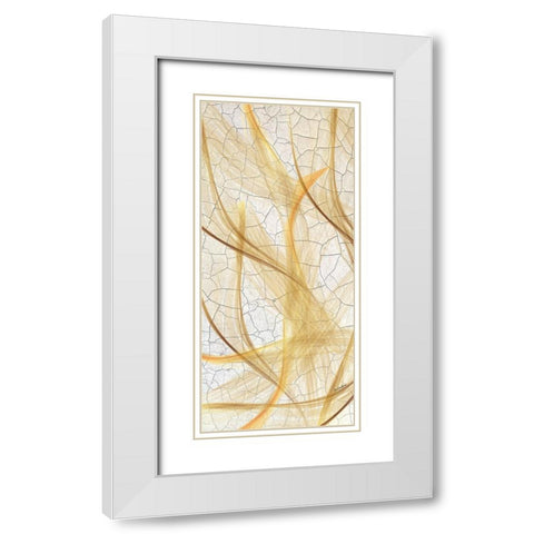 Providence Botanical White Modern Wood Framed Art Print with Double Matting by Burney, Yvonne Coleman