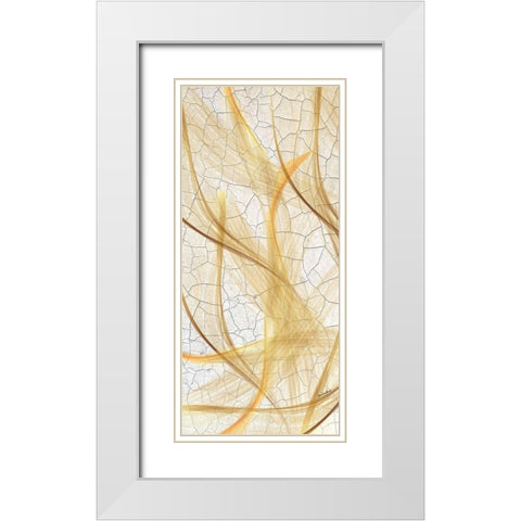 Providence Botanical White Modern Wood Framed Art Print with Double Matting by Burney, Yvonne Coleman