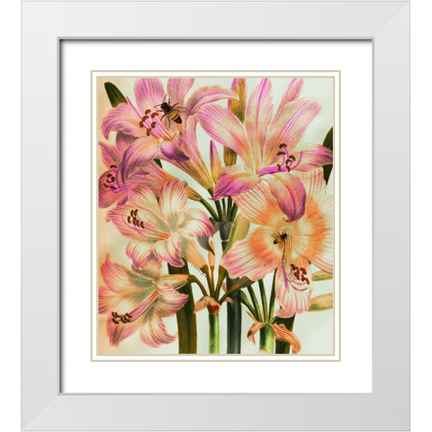 Morning Glory White Modern Wood Framed Art Print with Double Matting by Burney, Yvonne Coleman