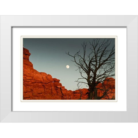 Full Moon White Modern Wood Framed Art Print with Double Matting by Yellow Cafe