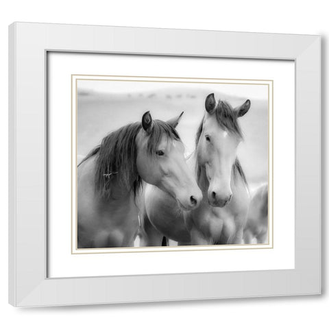 Horse Friends White Modern Wood Framed Art Print with Double Matting by Yellow Cafe