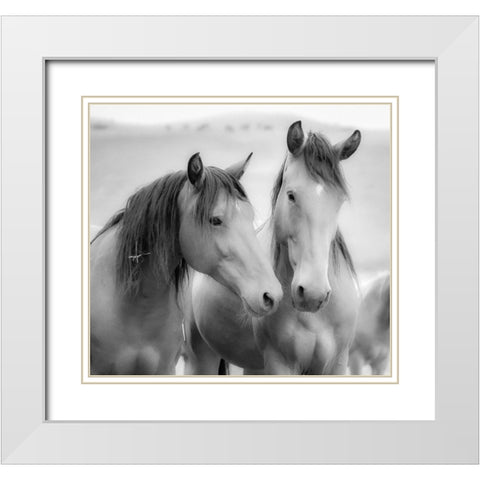 Horse Friends White Modern Wood Framed Art Print with Double Matting by Yellow Cafe