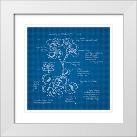 Blueprints I White Modern Wood Framed Art Print with Double Matting by Yellow Cafe