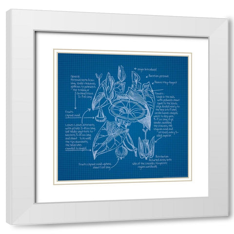Blueprints III White Modern Wood Framed Art Print with Double Matting by Yellow Cafe