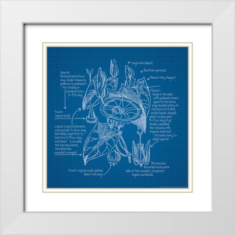 Blueprints III White Modern Wood Framed Art Print with Double Matting by Yellow Cafe