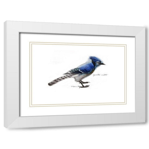 Blue Jay White Modern Wood Framed Art Print with Double Matting by Yellow Cafe