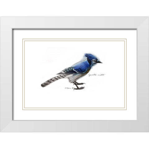 Blue Jay White Modern Wood Framed Art Print with Double Matting by Yellow Cafe