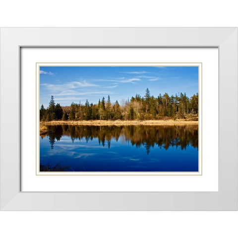Lake Reflections White Modern Wood Framed Art Print with Double Matting by Yellow Cafe