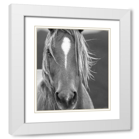 Close Up White Modern Wood Framed Art Print with Double Matting by Yellow Cafe