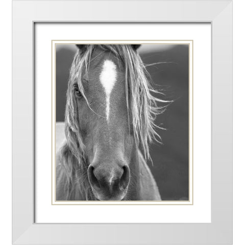 Close Up White Modern Wood Framed Art Print with Double Matting by Yellow Cafe