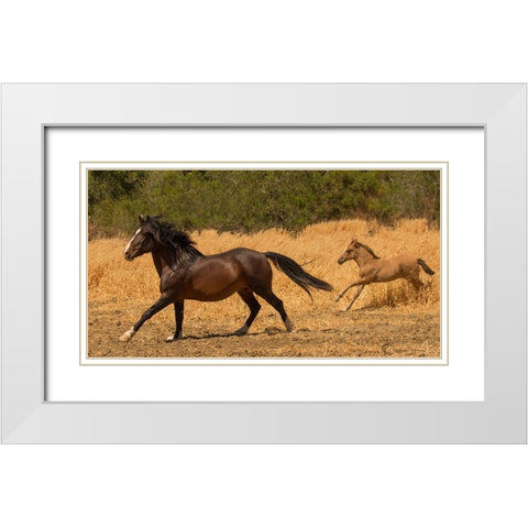 Amante and Amber White Modern Wood Framed Art Print with Double Matting by Yellow Cafe