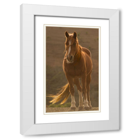 Blowing in the Wind White Modern Wood Framed Art Print with Double Matting by Yellow Cafe