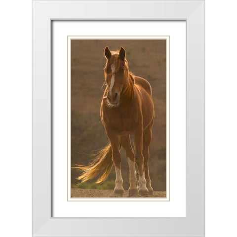 Blowing in the Wind White Modern Wood Framed Art Print with Double Matting by Yellow Cafe