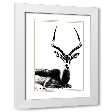 Antelope  White Modern Wood Framed Art Print with Double Matting by Sommers, Mindy