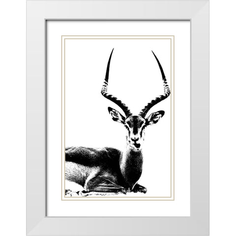 Antelope  White Modern Wood Framed Art Print with Double Matting by Sommers, Mindy