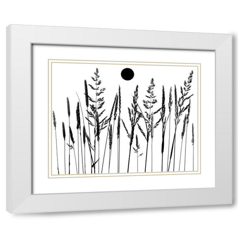 Grassy Moon II White Modern Wood Framed Art Print with Double Matting by Sommers, Mindy