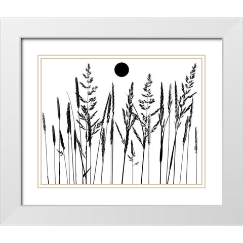 Grassy Moon II White Modern Wood Framed Art Print with Double Matting by Sommers, Mindy