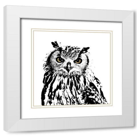 Spotted Owl White Modern Wood Framed Art Print with Double Matting by Sommers, Mindy