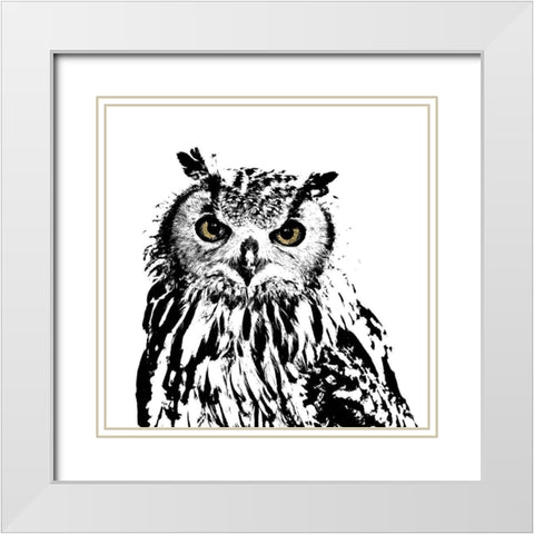 Spotted Owl White Modern Wood Framed Art Print with Double Matting by Sommers, Mindy