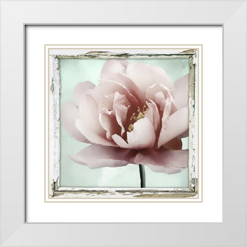 Garden and Mint I White Modern Wood Framed Art Print with Double Matting by Sommers, Mindy