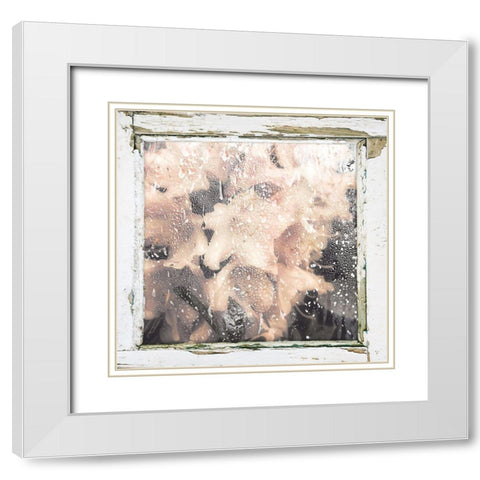 Antique Pink White Modern Wood Framed Art Print with Double Matting by Sommers, Mindy