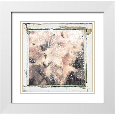 Antique Pink White Modern Wood Framed Art Print with Double Matting by Sommers, Mindy