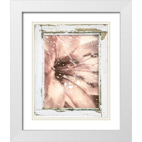 Antique Pink II White Modern Wood Framed Art Print with Double Matting by Sommers, Mindy