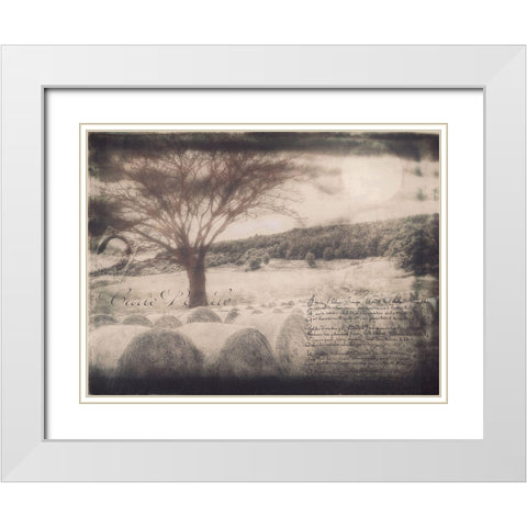 Moon Bales White Modern Wood Framed Art Print with Double Matting by Sommers, Mindy